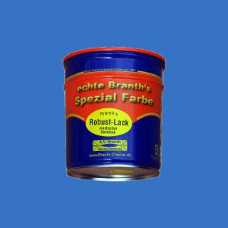 Branths Robust paint (asciugatura rapida) tanica 0,75 l blu chiaro RAL 5012