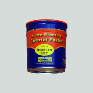 Branths Robust paint (asciugatura rapida) tanica 0,75 l grigio chiaro RAL 7035