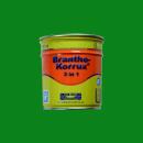Brantho Korrux "3 in 1" lattina da 0,75 litri, verde barile BK632 = RAL 6037