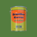 Brantho Korrux "nitrofest" contenitore da 5 litri verde lime / verde reseda RAL 6011